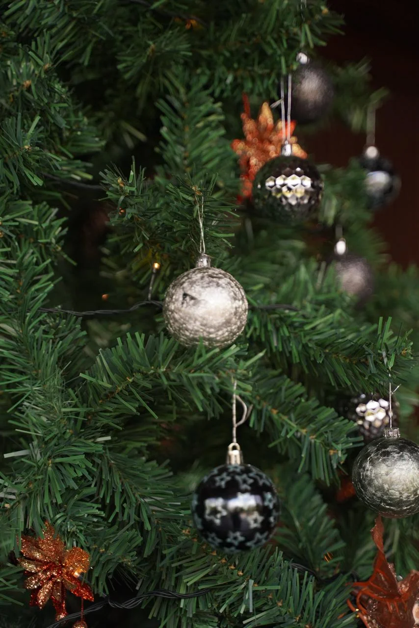 Top 5 Things to Do in Ubud on This Christmas & New Year’s Eve 2025